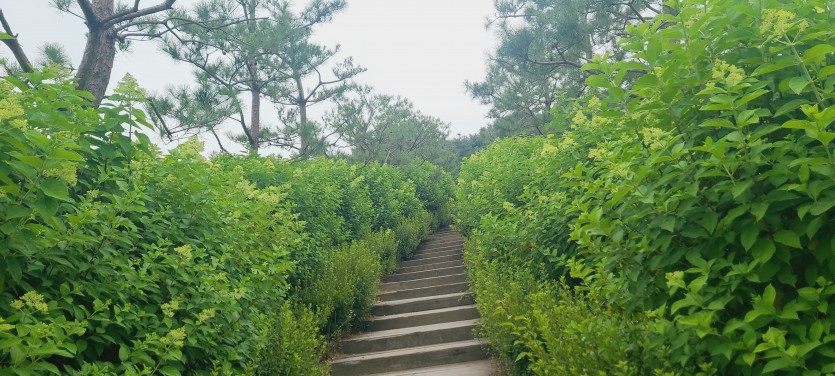 경기지역화폐 가맹점
