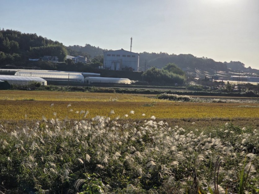 수면은 곧 보약이다.