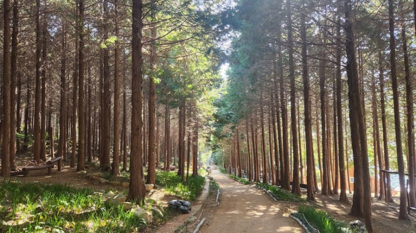 12월 딱 한달간만 특별세일!