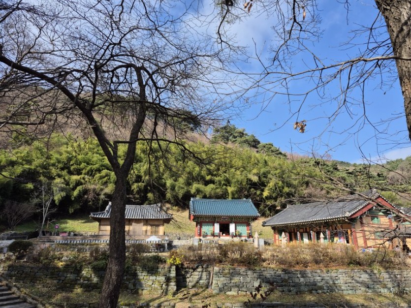 딱 한달만(12월)특별 세일 기간!